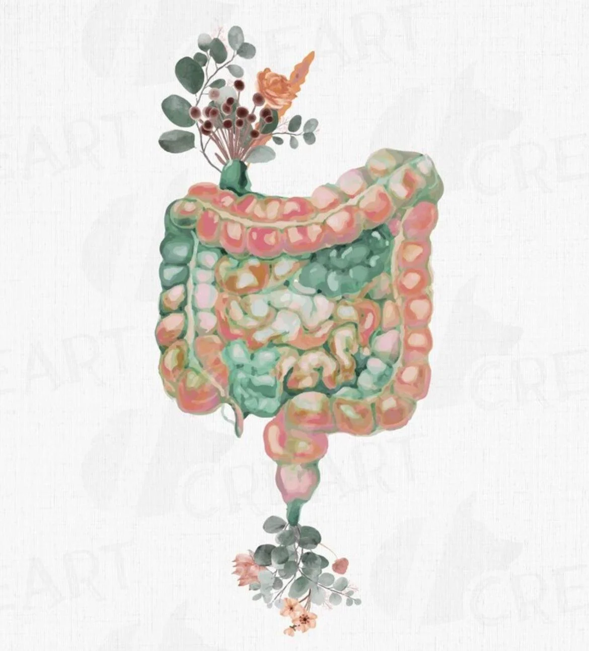 Holistic approach to colon health - Clutter Clearing Colonics