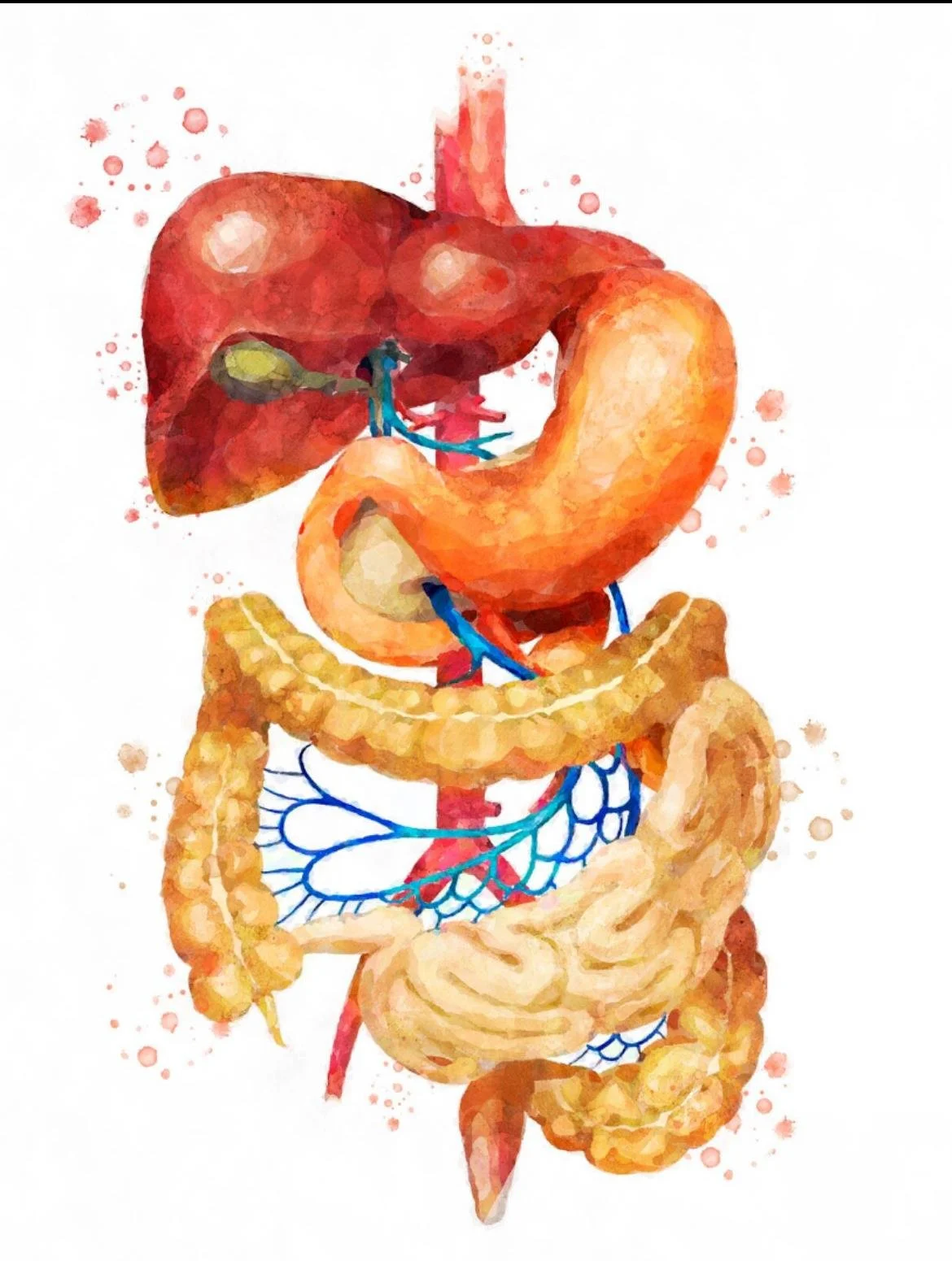 Colonic Irrigation Sydney - Colon Hydrotherapy Liverpool NSW